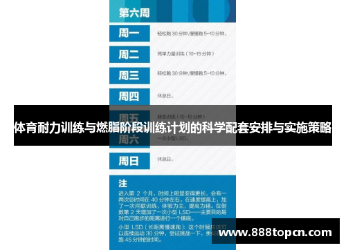 体育耐力训练与燃脂阶段训练计划的科学配套安排与实施策略
